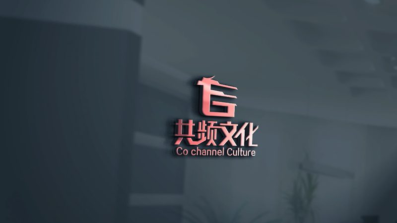 微电影拍摄团队：揭秘收费标准背后的考量**