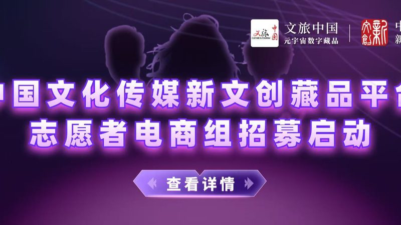 文化传媒公司加盟运营方案：揭秘成功之路**